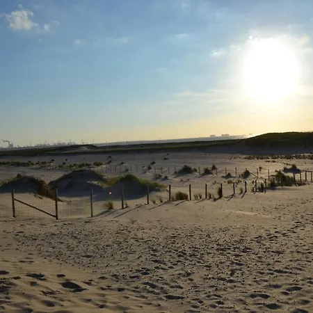 Bungalow 10 Personen