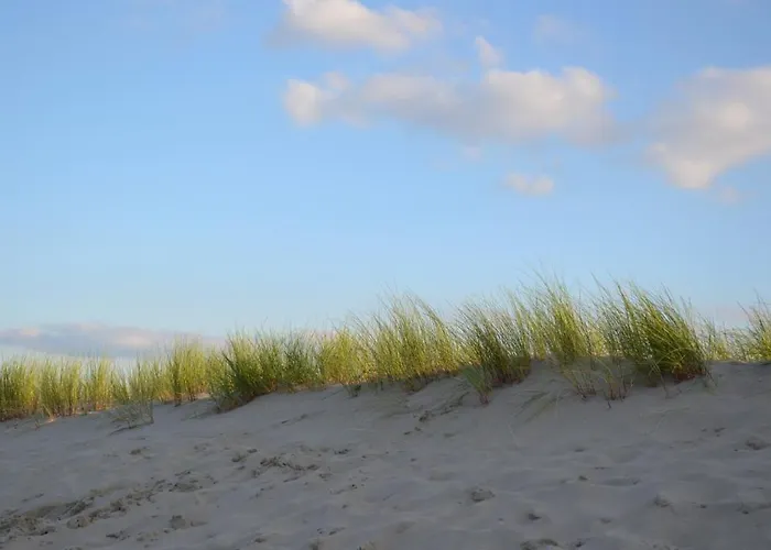 Bungalow 10 Personen