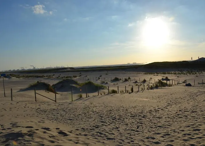 Bungalow 10 Personen